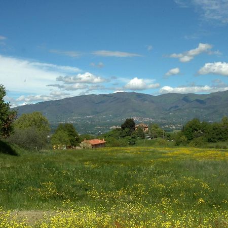 I Gelsi Guest House Figline Valdarno Eksteriør bilde
