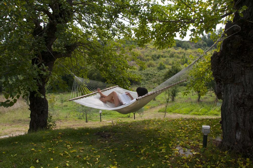I Gelsi Guest House Figline Valdarno Eksteriør bilde