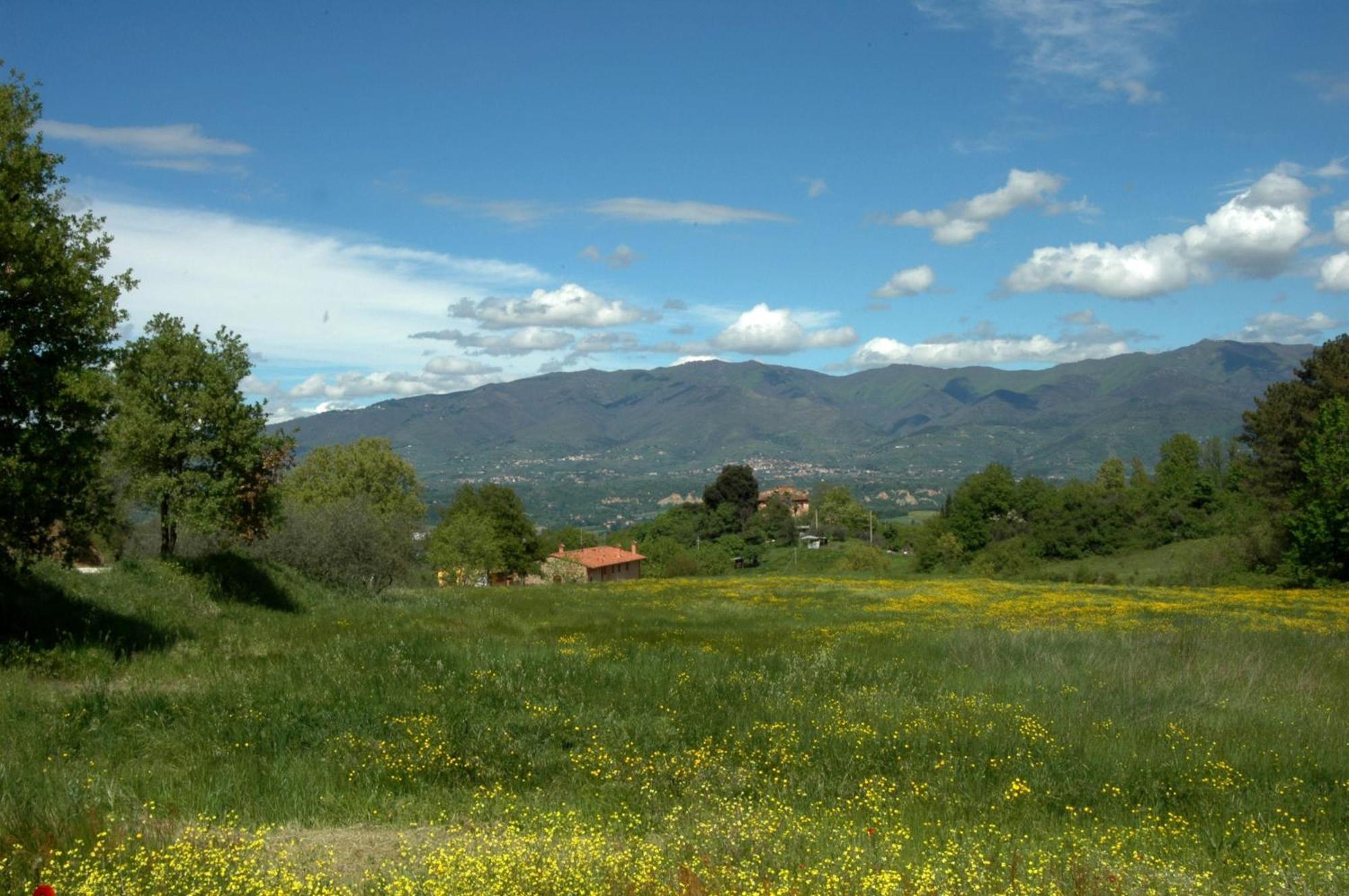 I Gelsi Guest House Figline Valdarno Eksteriør bilde